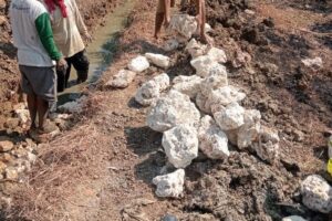 Proyek Irigasi Lama Digarap Lagi di Sumedangan, Papan Nama Tak Ada, Kades Mengaku Tak Tahu