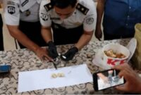Modus Ayam Goreng Cepat Saji, Ibu Kandung Selundupkan 17,11 Gram Sabu ke Lapas Porong Sidoarjo